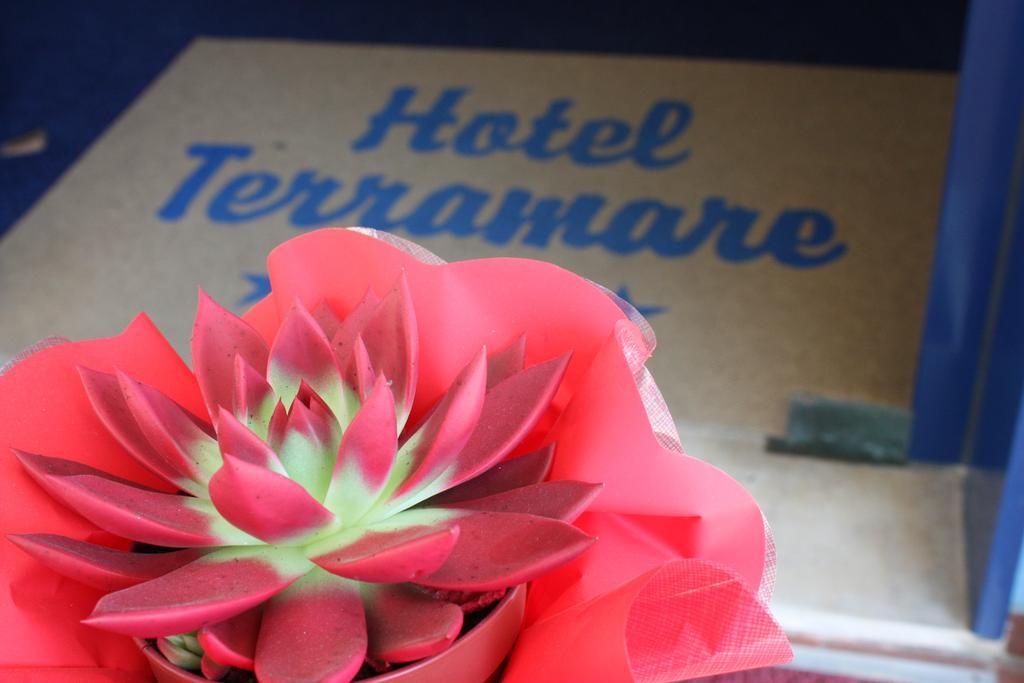 Hotel Terramare Jesolo Extérieur photo